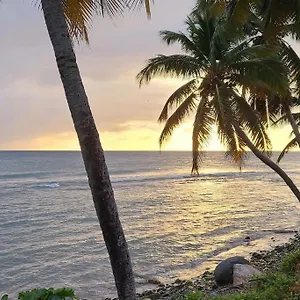 https://simple-hollywood-beach.top-hotels-puertorico.com